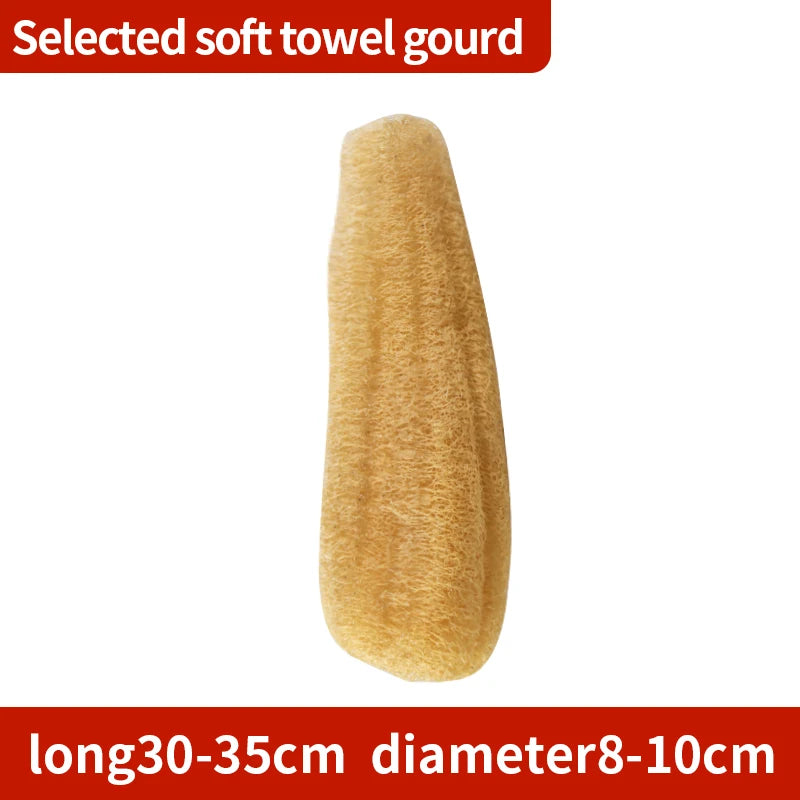 Loofah Shower Sponge