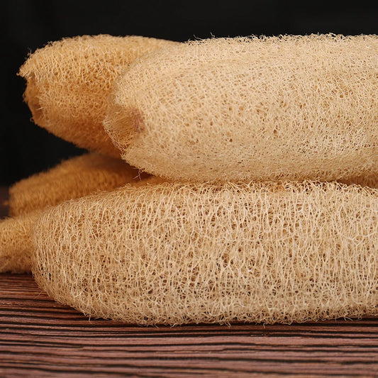 Loofah Shower Sponge