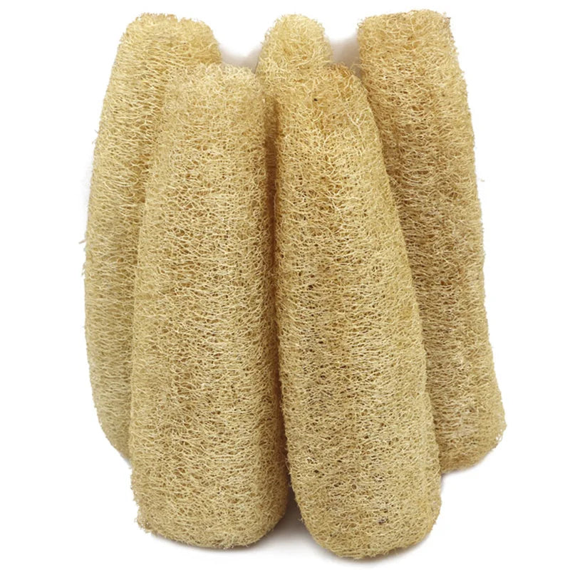 Loofah Shower Sponge