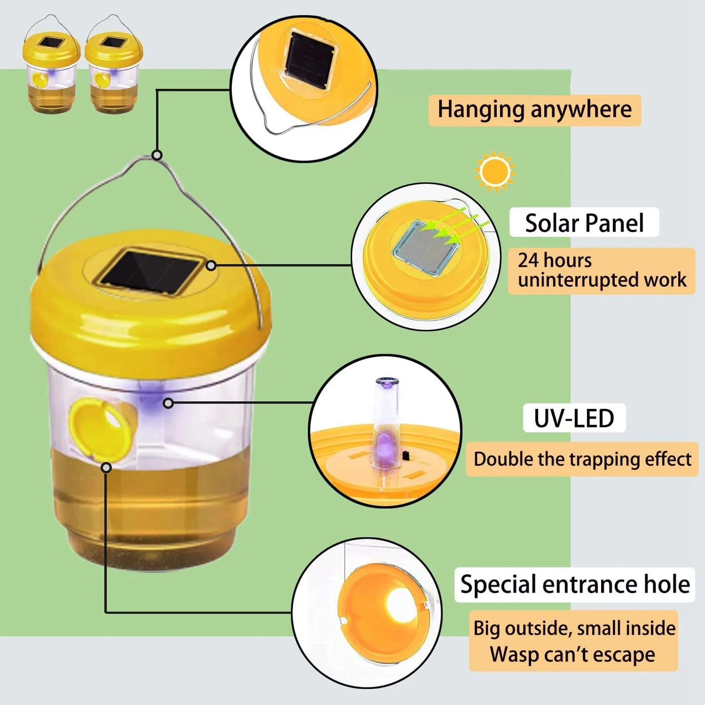 Solar Wasp Trap