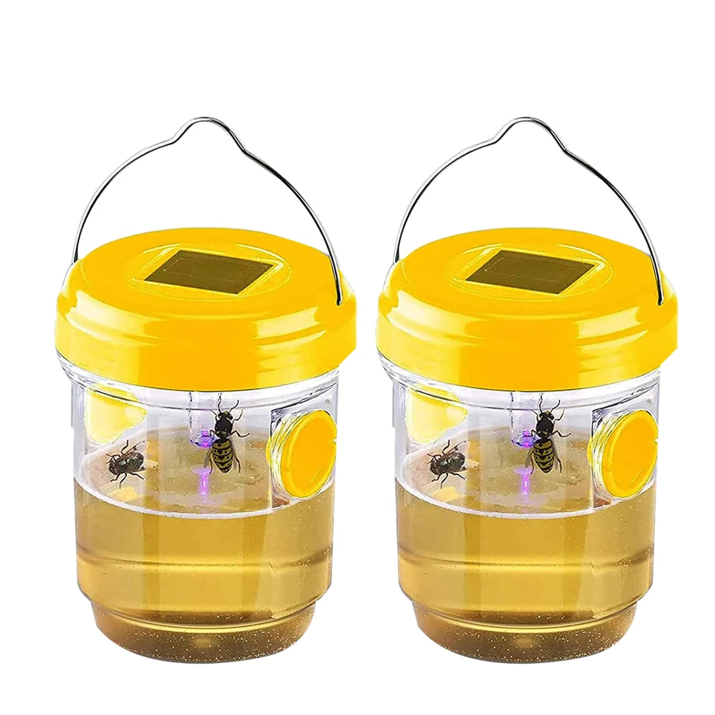 Solar Wasp Trap